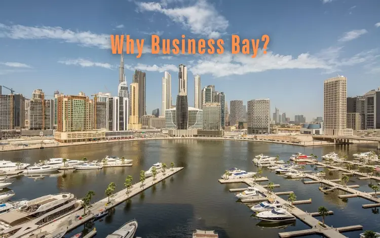 Why Business Bay?
