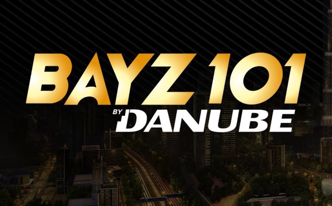 Bayz 101 by Danube