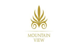 Mountain View Developments