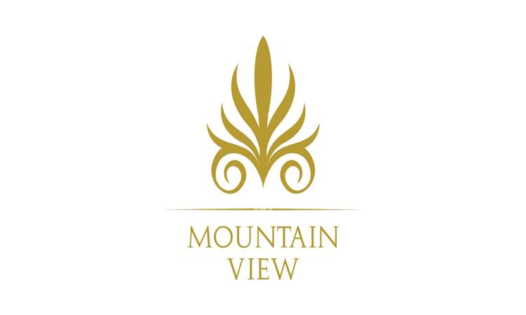 Mountain View Projects