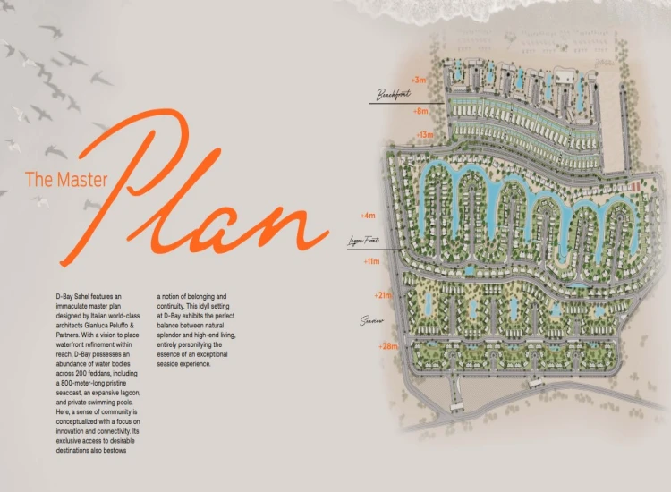 D Bay D Bay North Coast