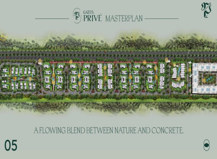 Prive Sheikh Zayed Prive Sheikh Zayed Compound