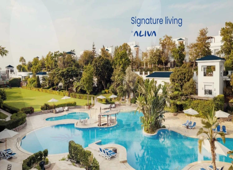Aliva Mountain View
