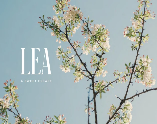 قرية ليا مراسي الساحل الشمالي Lea Marassi بمقدم 5%