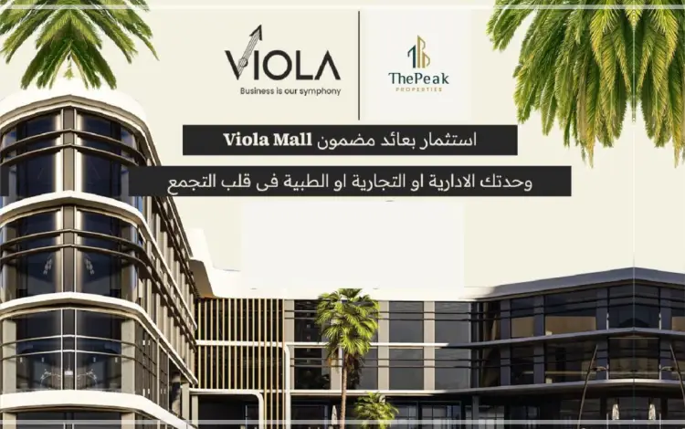 Viola-New-Cairo