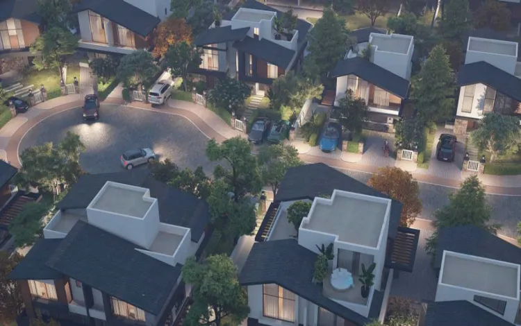 مشروع جيمس زايد