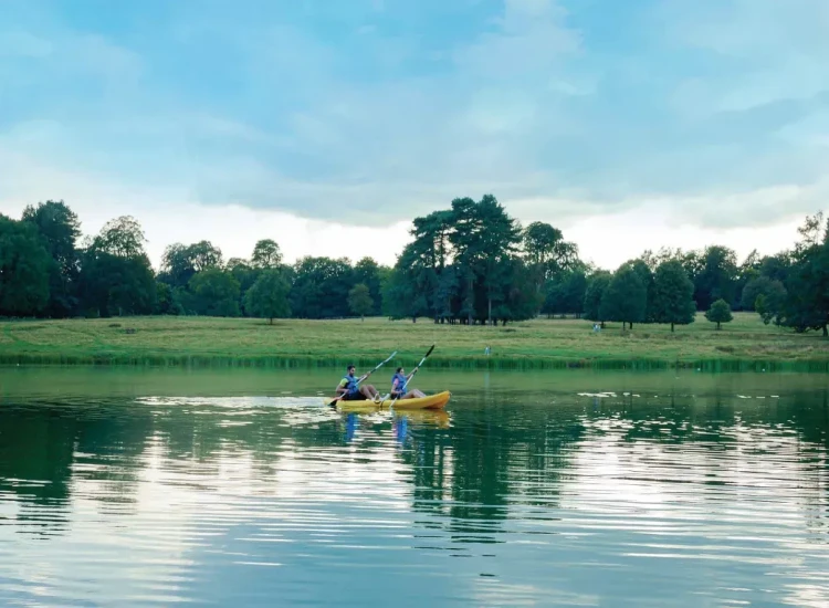 كمبوند اليفا المستقبل سيتي كمبوند اليفا ماونتن فيو المستقبل سيتي